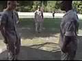 Tai Chi unleashed