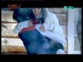 Basshunter - I miss You