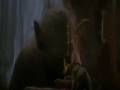 Star Wars Episode V The Empire Strikes Back - Yoda