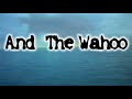 spearfishing wahoo a type of game fish with a rob allen speargun off cape vidal south africa while free diving.