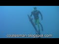 spearfishing wahoo a type of game fish with a rob allen speargun off cape vidal south africa while free diving.
