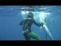 Spearfishing Wahoo - Cape Vidal