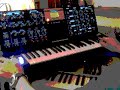 minimoog voyager electric blue