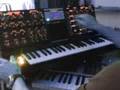 minimoog voyager electric blue