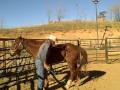 videos de hawk part three working with back feet, David Lee Archer