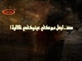 saad - hazeen
