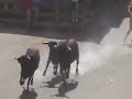 Encierros Fiestas de Santiago de la Espada Encierros Fiestas de Santiago de la Espada