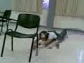 kike patinando