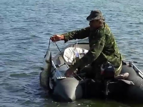 рыбалка на днепре в днепропетровске квоком на сома рыбалка на днепре в днепропетровске квоком на сома