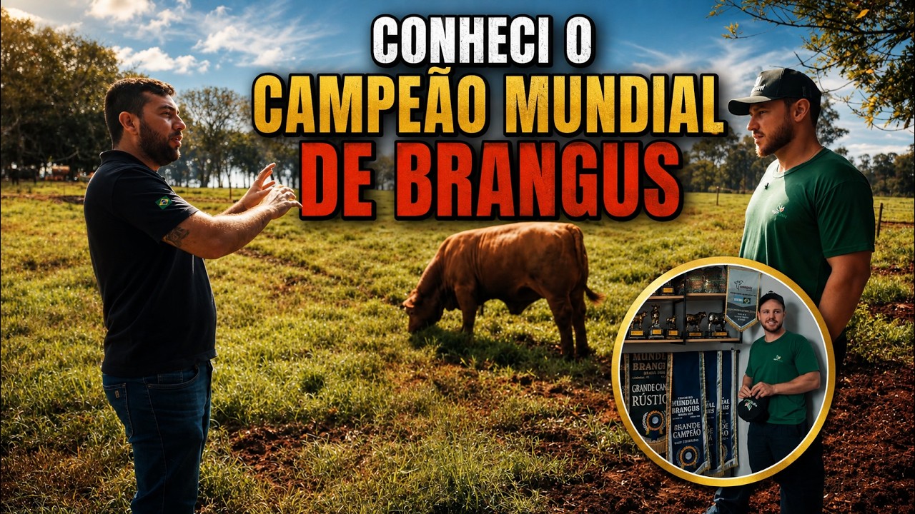 A fazenda que produz a genética mais avançada do Brasil