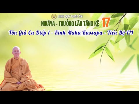 NIKAYA Trưởng Lão Tăng Kệ 17 - Tôn Giả Ca Diếp 1 - Kinh Maha Kassapa - Tiểu Bộ III