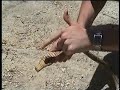 A Steve Irwin Tribute!! Ross Piercey Wildlife Wonder- The Black Mamba