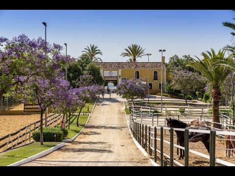 What is La Zagaleta?