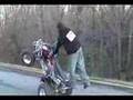 Wildout Wheelie Boyz 
