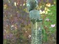 Squirrel Spins Off of Bird Feeder