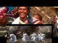 FASIL DEMOZ   