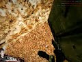 Team 3D movie[Counter-Strike]