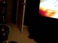 Baby Loves UFC