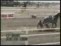 Rodeos :)