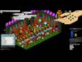 Cellux Habbo.co.uk Pay's 16t bet!  July 24th, 2008