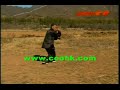 Cheng style Bagua Kung Fu : Ziwu Yuanyang Yue