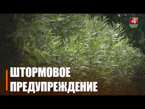 Осень заявит о себе резко. Первого сентября на Гомельщине – оранжевый уровень опасности видео