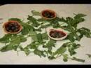 Arugula Sea War