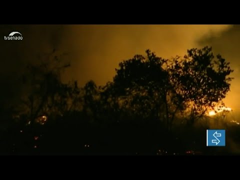 Aviões agrícolas poderão ser usados para combater incêndios florestais, prevê projeto