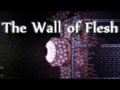 how to beat wall of flesh