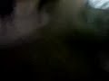 Los Espantos del Duende