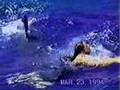Lady gets attacked by a great white shark
