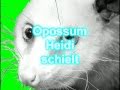 Heidi the cross-eyed opossum has 50,000 Facebook fans