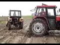 Ursus C-360-3P(Perk) vs. Massey Ferguson 168(Dziadzia)