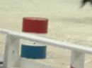 Washington International Horse Show