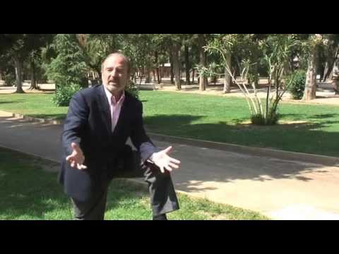 Piera, Gustavo . En el DPECV