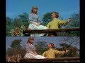 seven brides for seven brothers dual takes