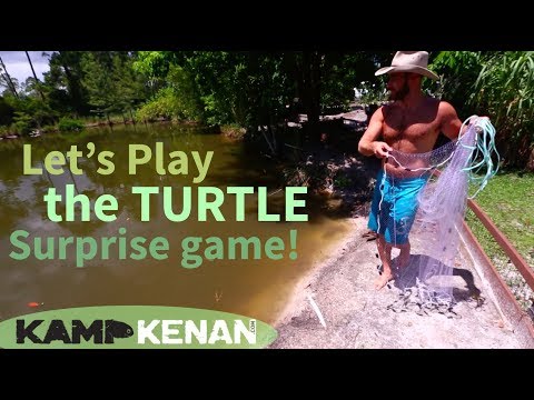 YouTube reptile video