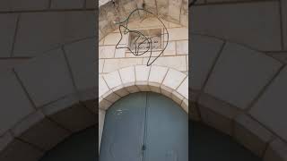 قرية ترشيحا/٢٩/١١/٢٠٢٠/بين الماضي والحاضر/tarsheha village قرية ترشيحا/٢٩/١١/٢٠٢٠/بين الماضي والحاضر/tarsheha village