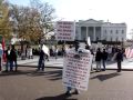 whitehouse protest