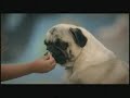 vodafone new commercial india everyday i want to fly
