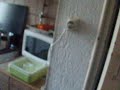 Poltergeist Poltergeist