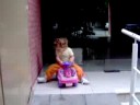 Vicky aporrea flor