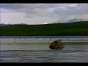 La maravilla de las naturaleza