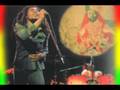 Tribute to Marley