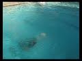 how wonts to go swimming? by jam