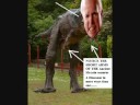 McCain so LOST Everyone at Brokeback...You're Proud of BUSH