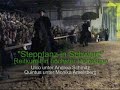 beautiful dancing friesian stallions in germany