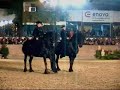 beautiful dancing friesian stallions in germany