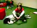 cortos d cucas (full version) cortos d cucas (full version)