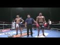 Alistair Overeem vs Tyrone Spong - K-1 World GP Quarter Final 2010